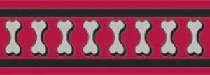 Postroj reflexní Red Dingo Bones 25mm x 56-80cm - červený