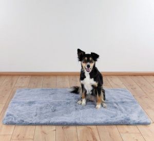 Podložky a deky pro psy