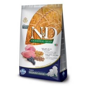  N&D Ancestral Grain Dog Puppy M/L Lamb & Blueberry 2,5 kg